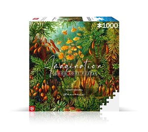 Obrazek Puzzle 1000 Ernst Haeckel Muscinae