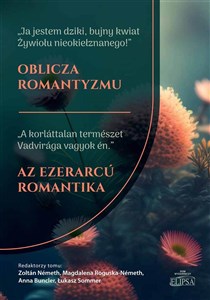 Picture of Oblicza romantyzmu