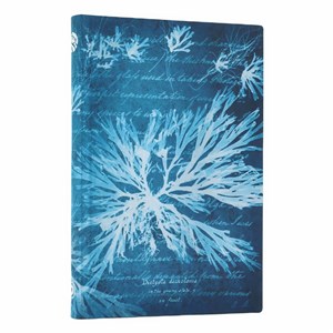 Obrazek Notatnik Sea Flowers Mini linia