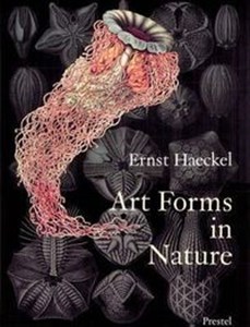 Obrazek Art Forms in Nature Prints of Ernst Haeckel