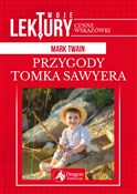 Przygody T... - Mark Twain -  books in polish 