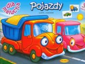 Pojazdy Dl... -  books from Poland