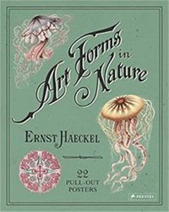 Picture of Art Forms in Nature Poster Book
