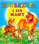 Książka : Zwierzęta ... - Anna Kwiecińska-Utkin