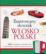 Ilustrowan... - Tadeusz Woźniak -  foreign books in polish 
