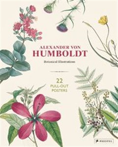 Picture of Alexander von Humboldt: Botanical Illustrations 22 pull-out posters