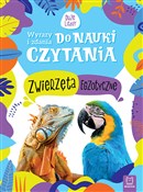 Zwierzęta ... - Monika Basiejko -  books from Poland