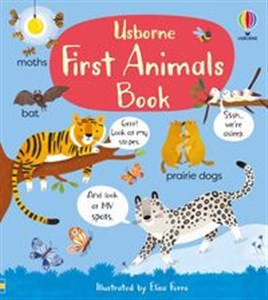 Obrazek First Animals Book