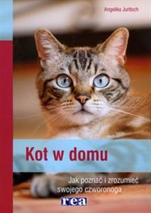 Picture of Kot w domu Jak poznać i zrozumieć swojego czworonoga