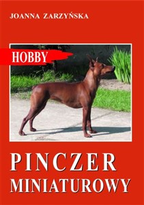 Picture of Pinczer miniaturowy