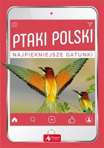 Obrazek Ptaki Polski