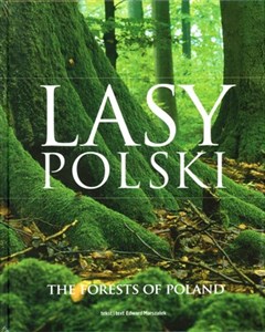 Obrazek Lasy Polski