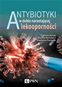 Polska książka : Antybiotyk... - Zdzisław Markiewicz, Dorota Korsak, Magdalena Popowska
