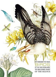 Obrazek Notatnik ozdobny 165x238/80K kratka Ptak FRESH