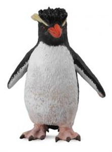 Picture of Pingwin rockhopper