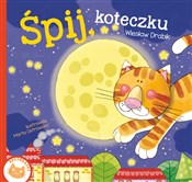 Śpij, kote... - Wiesław Drabik -  Polish Bookstore 