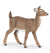 Łania mula... -  Polish Bookstore 