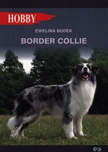 Obrazek Border collie