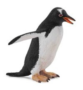 Picture of Pingwin gentoo