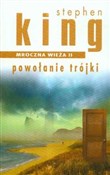 polish book : Mroczna wi... - Stephen King