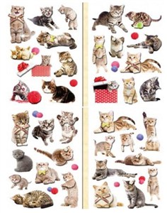 Picture of Naklejki 3D koty MIX