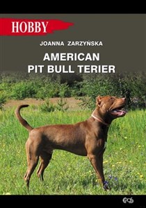 Picture of American pit bull terier