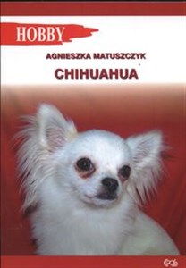 Picture of Chihuahua