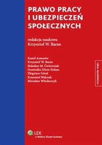 Obrazek Prawo pracy i ubezpieczeń społecznych