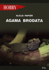 Picture of Agama brodata