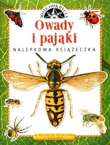 Picture of Owady i pająki Moje odkrycia 65 nalepek do przyklejania i odklejania