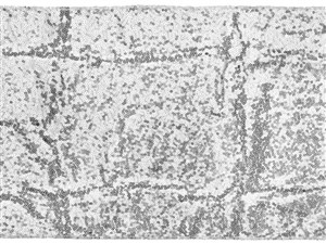 Obrazek Bieżnik cekinowy srebrny 0,3x5m