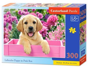 Obrazek Puzzle Labrador Puppy in Pink Box 300