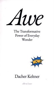 Obrazek Awe The Transformative Power of Everyday Wonder