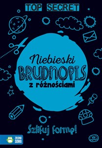 Picture of Niebieski Brudnopis z różnościami