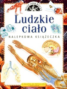 Obrazek Ludzkie ciało Moje odkrycia 65 nalepek do przyklejania i odklejania