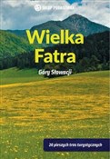 Polska książka : Wielka Fat... - Peter Podolak