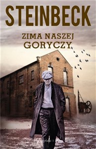 Obrazek Zima naszej goryczy DL