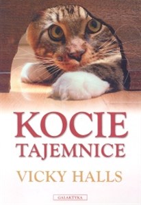 Picture of Kocie tajemnice