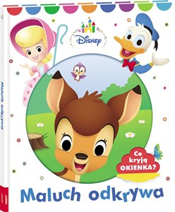 Picture of Disney Maluch odkrywa Co kryja okienka? DMO-1