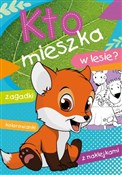 Polska książka : Kto mieszk... - Ewa Stadtmuller, Wiesław Drabik