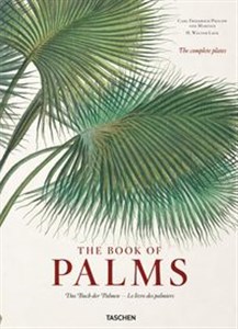 Picture of The Book of Palms