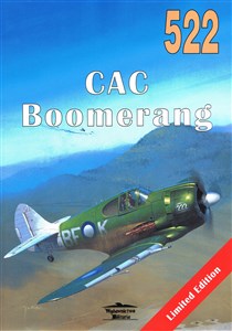 Picture of CAC Boomerang nr 522