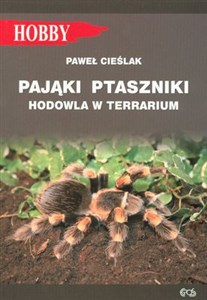 Picture of Pająki ptaszniki hodowla w terrarium