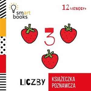 Picture of Liczby Książeczka poznawcza Wiek 12m+