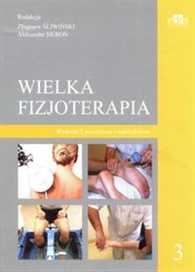 Picture of Wielka fizjoterapia. Tom 3