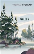 Polska książka : Walden - Henry David Thoreau