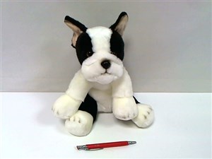 Picture of Pies boston terrier 30cm