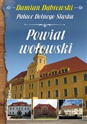 Pałace Dol... - Damian Dąbrowski -  books from Poland