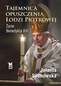 Polska książka : Tajemnica ... - Jolanta Sosnowska