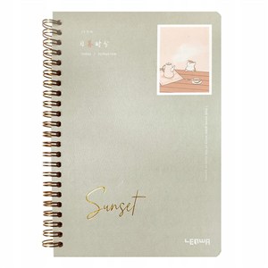 Obrazek Kołonotes A5/68K linia Sunset szary